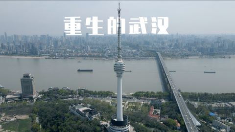 重生的武汉